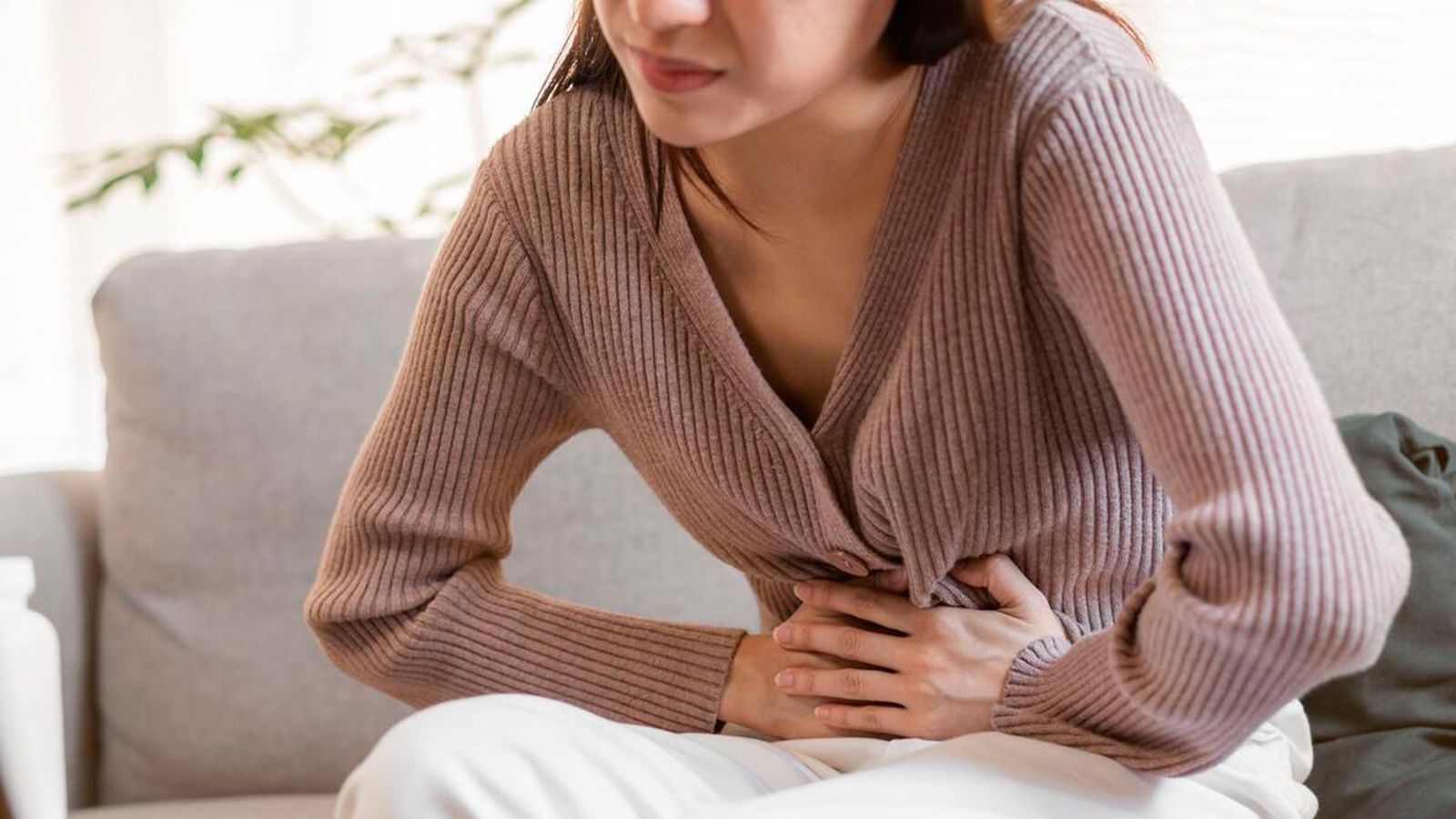 El 29 de maig es commemora el Dia Internacional de la Salut Digestiva