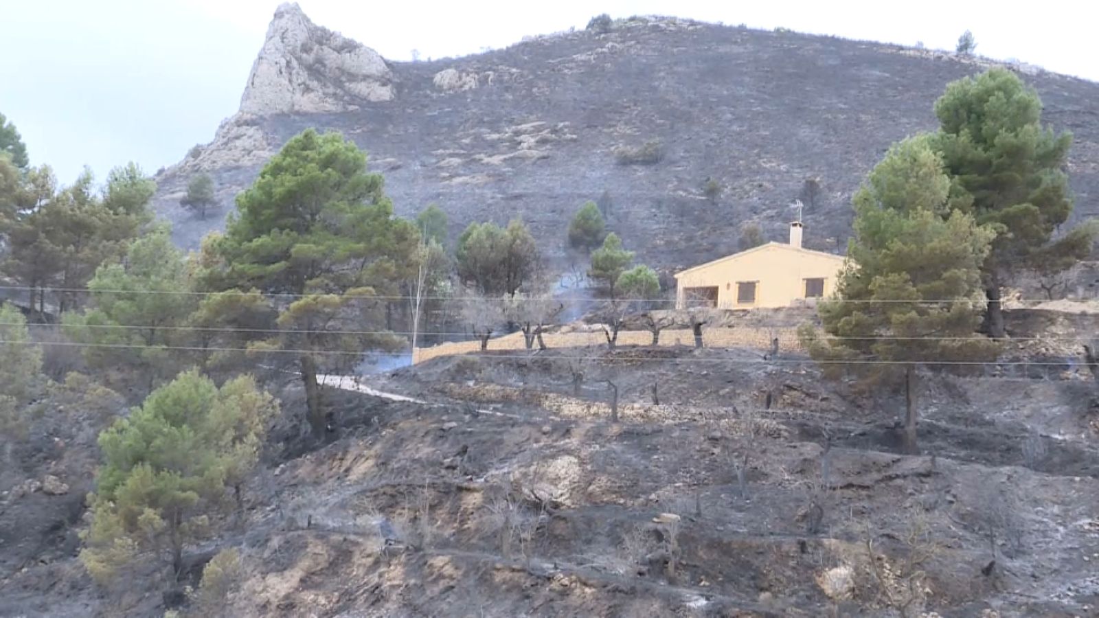 Part de la superfície cremada en l'incendi que es va declarar diumenge prop de la CV-60