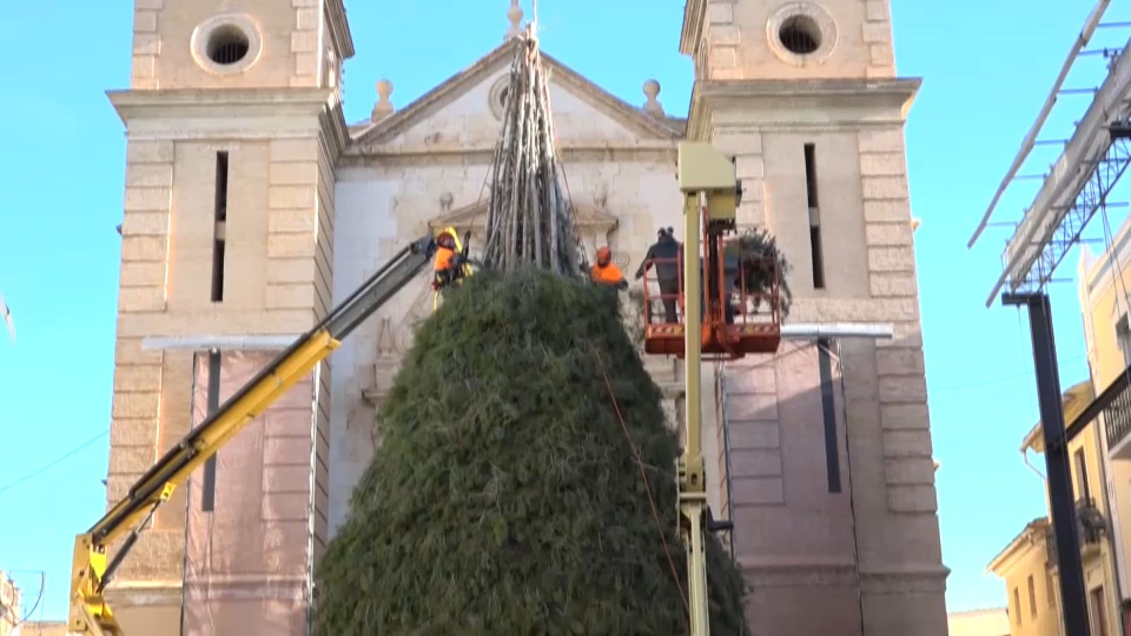 Els operaris cobrixen amb branques verdes la part superior de la foguera, que ja ocupa la plaça de Canals