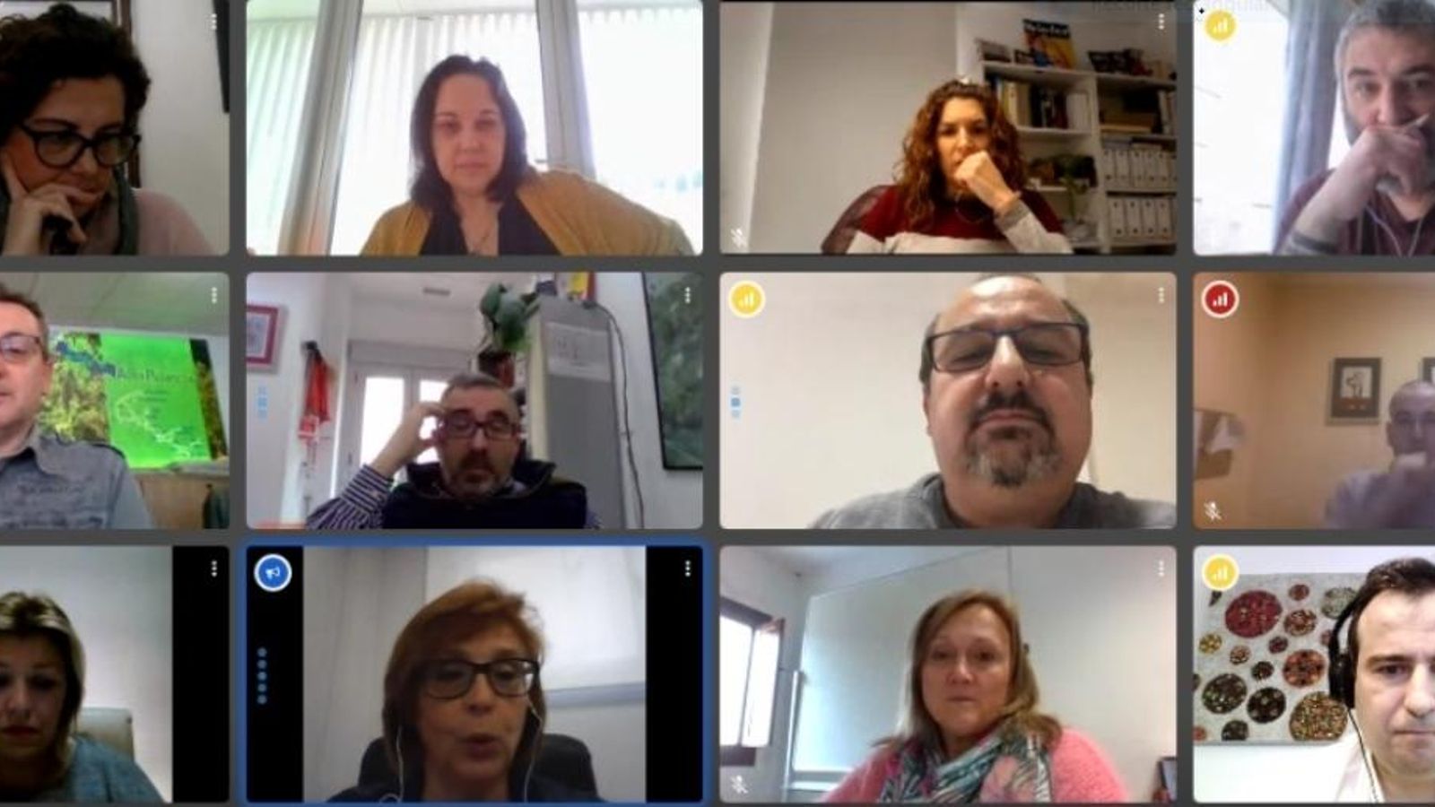 Imatge de la reunió per videoconferència de la FVMP