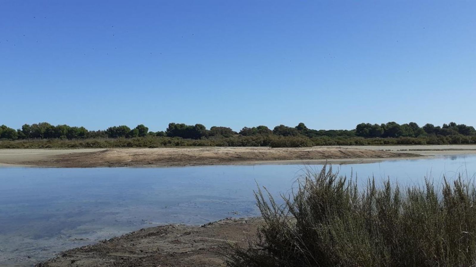 Imatge de la Devesa-Albufera