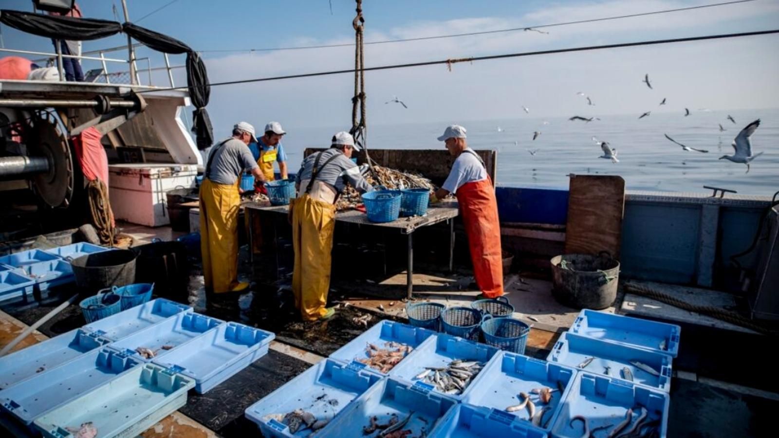 Imatge d'arxiu de pescadors