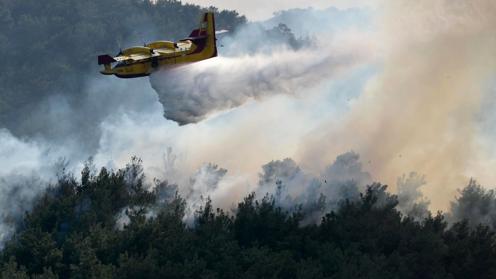 Un avió d'extinció durant un incendi forestal en el bosc de Dadia, Tràcia, nord de Grècia