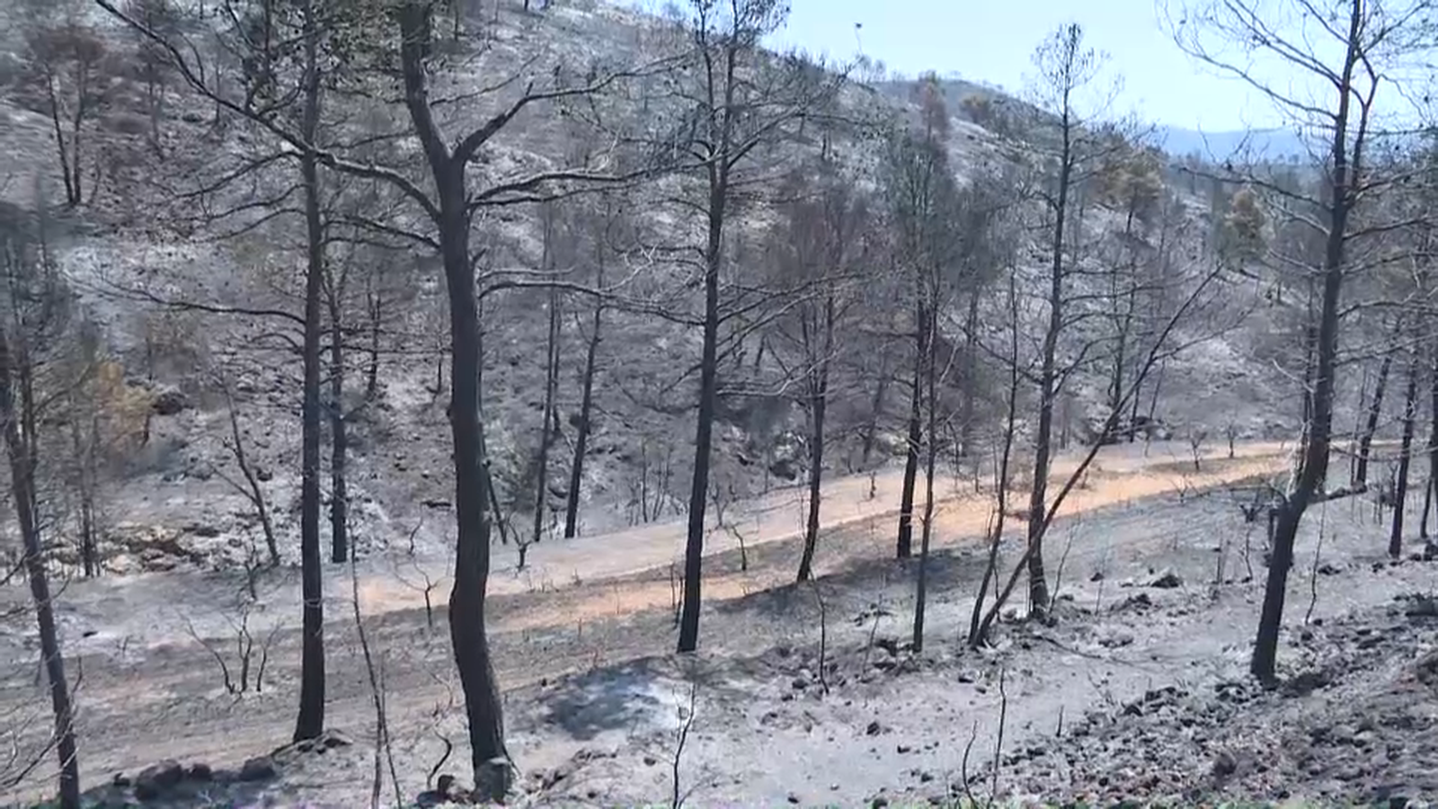 Zona afectada de l'incendi de Beneixama