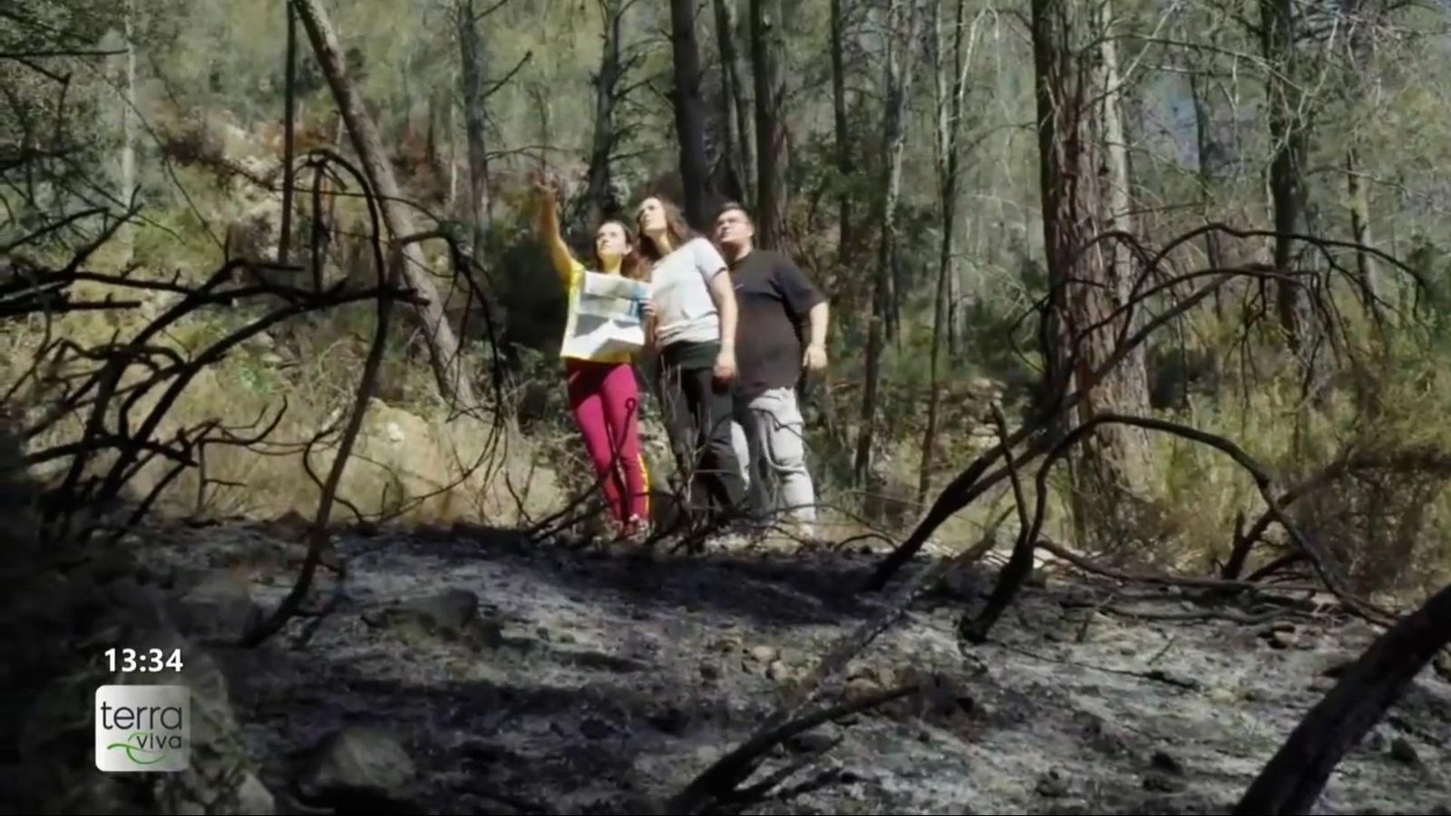 Un grup de voluntaris inspeccionant una de les sendes