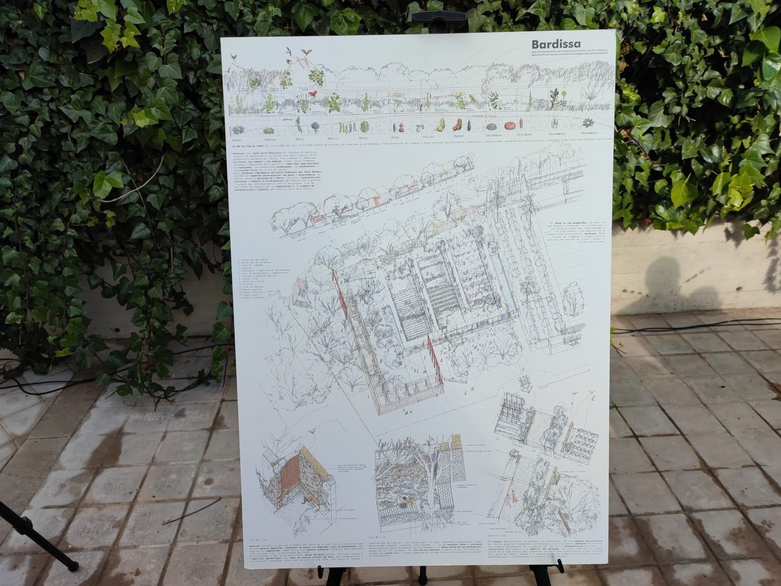 Plànol del futur jardí Trini Miró