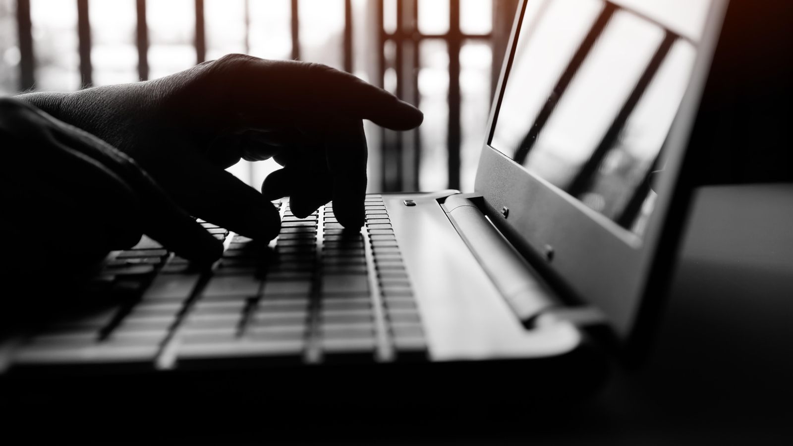 El perfil del ciberdelinqüent és un home, d'entre 26 i 40 anys