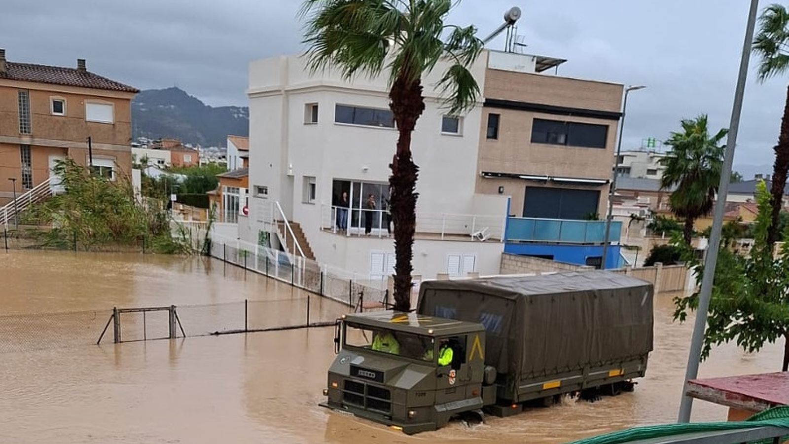 Un carre d'Oliva, negat este matí