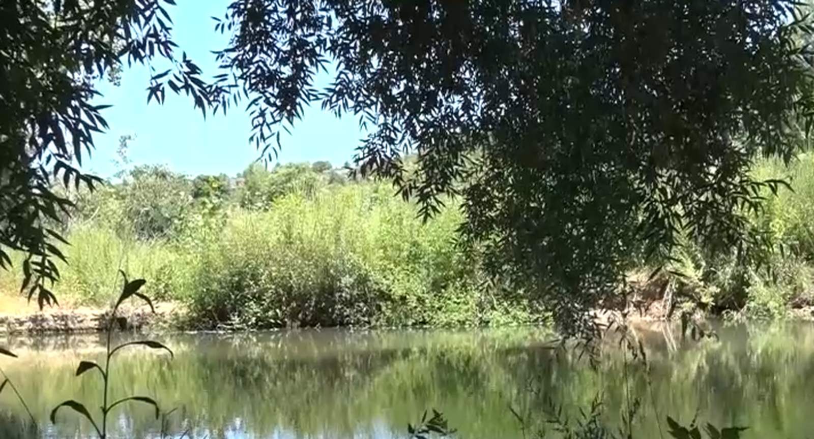 L’assut de la Badina Migas