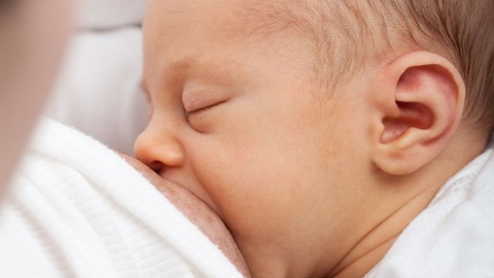 L'associació Amamanta organitza aquesta festa als Jardins de Vivers de València amb nombroses activitats infantils