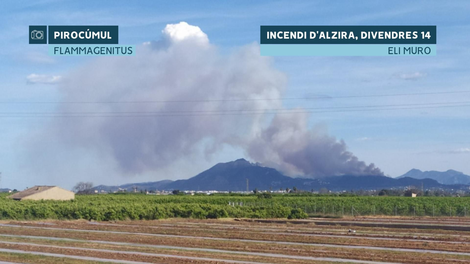 PRIMAVERA DEL 2023, INICI MOLT SEC I MOLT CÀLID