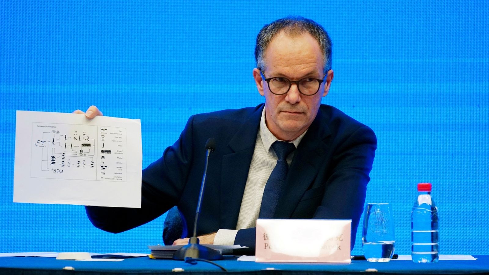 L'OMS assegura que el coronavirus té un origen animal