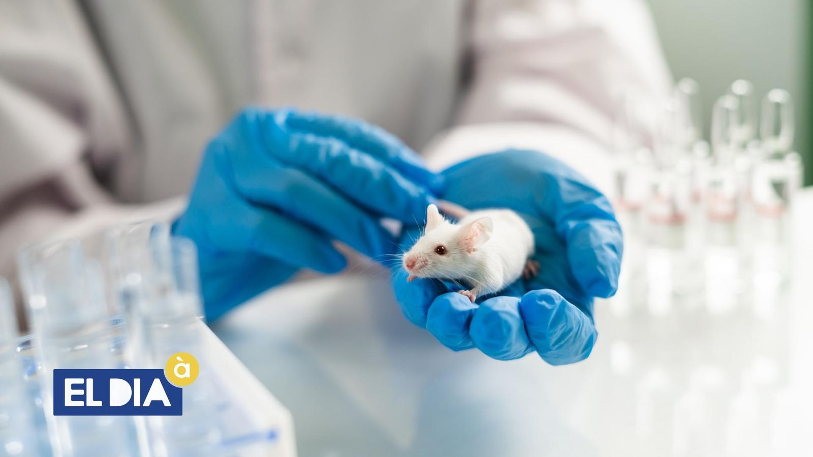 Experiments amb animals