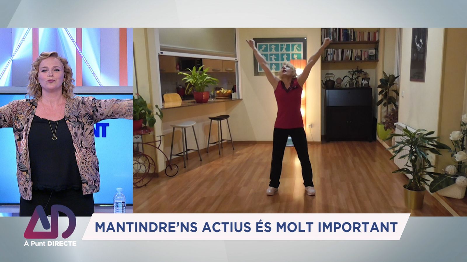 Exercitem les articulacions