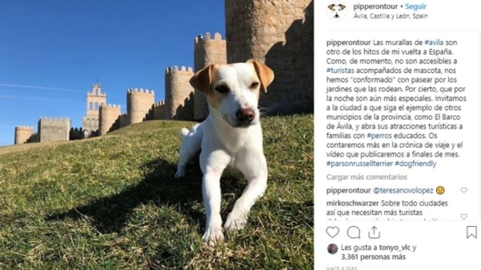 13.02.2019 | Xarxes | Pipper, el gos 'influencer' que consciencia sobre viatjar amb animals
