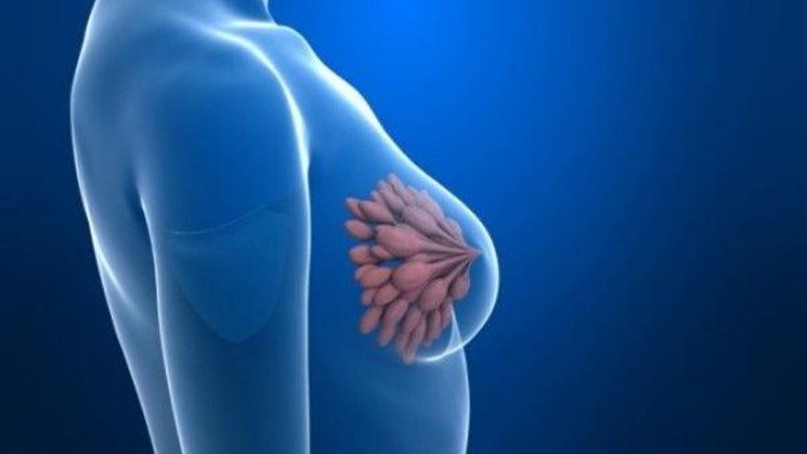 El càncer de mama és un dels més investigats actualment