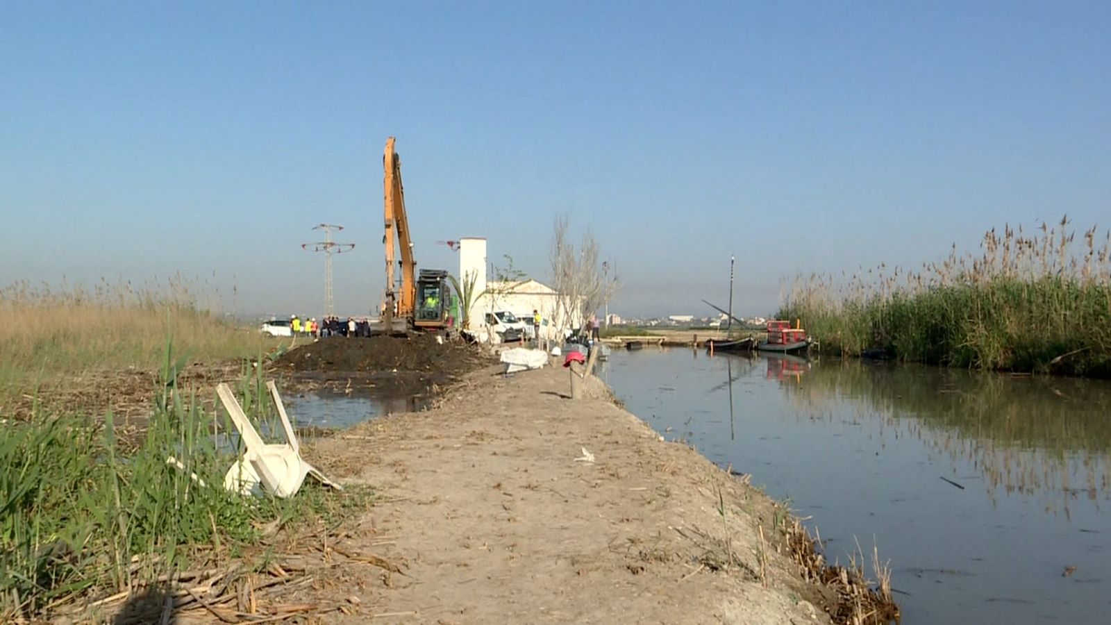 Extrauen 2.475 tones de fem de l'Albufera de València