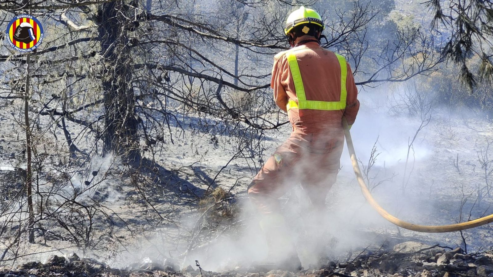 Un bomber treballa en l'incendi declarat aquest dimarts a Real i que va obligar a desallotjar diverses urbanitzacions