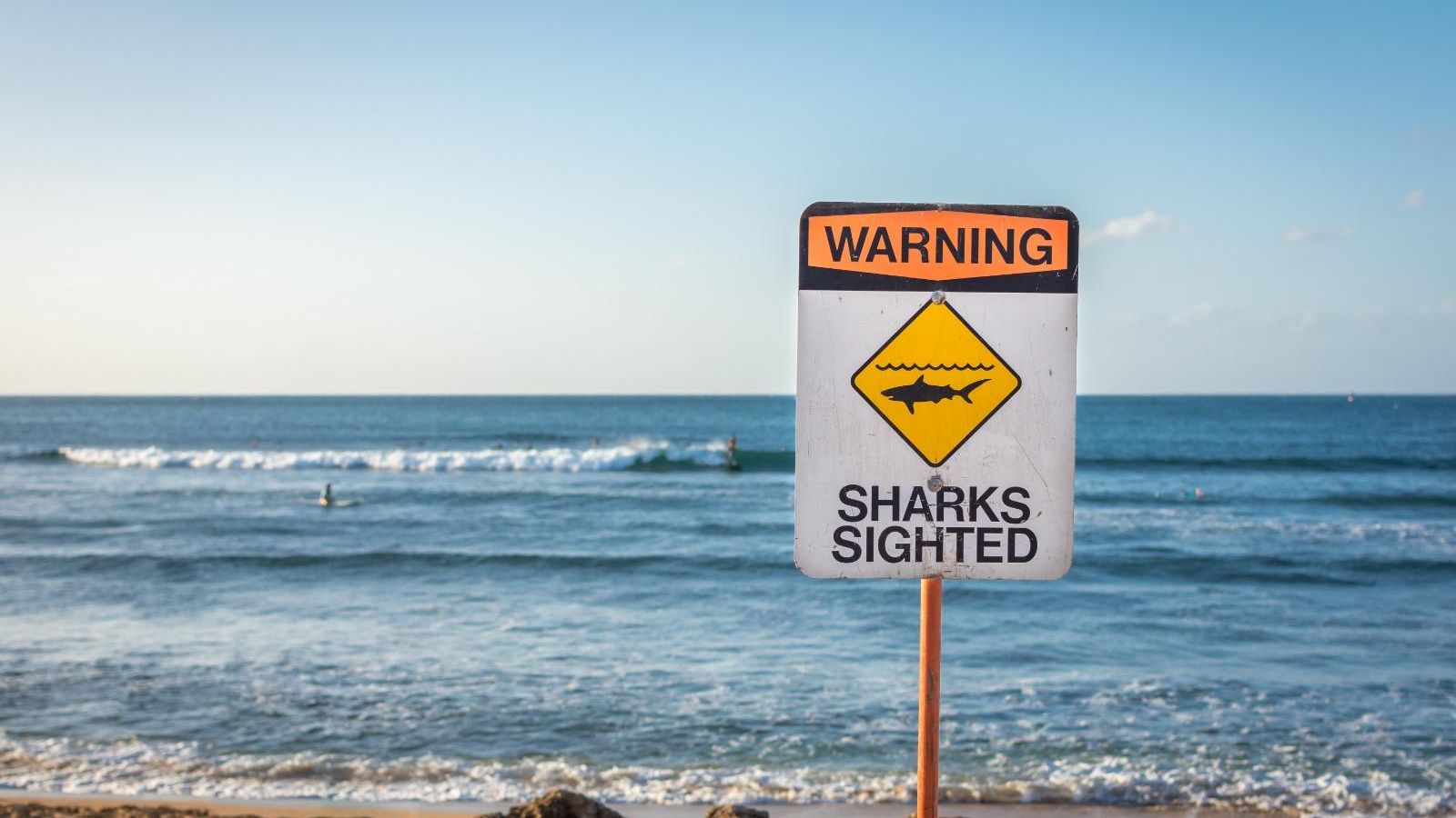 Imatge d'una senyal que alerta de taurons, arxiu