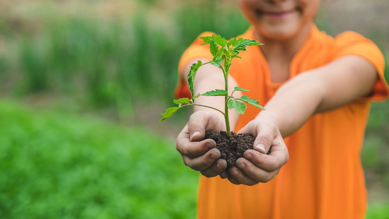 08.02.2024 | "Gent que suma": traslladar l'agricultura sostenible als centres educatius