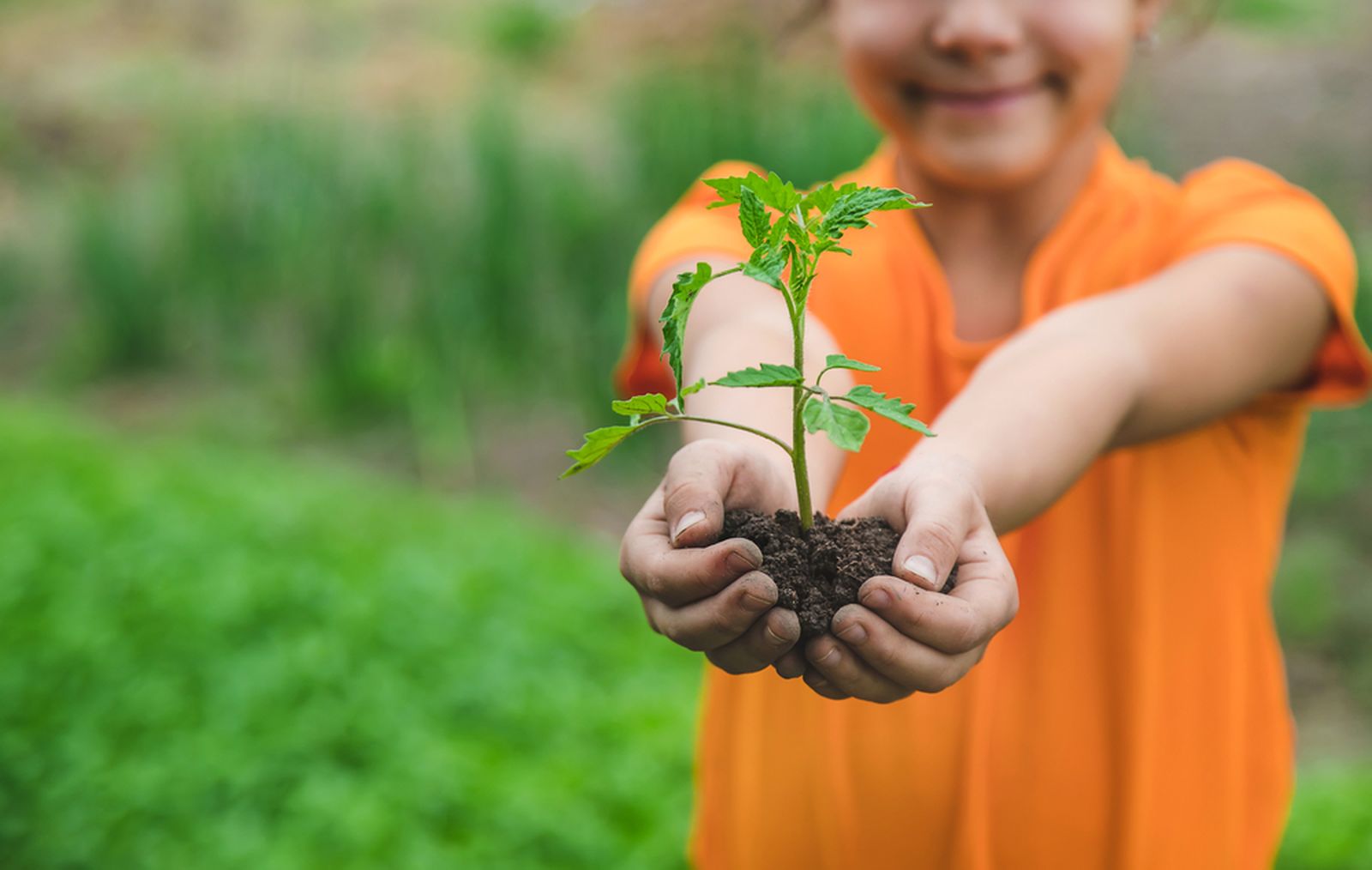 08.02.2024 | "Gent que suma": traslladar l'agricultura sostenible als centres educatius