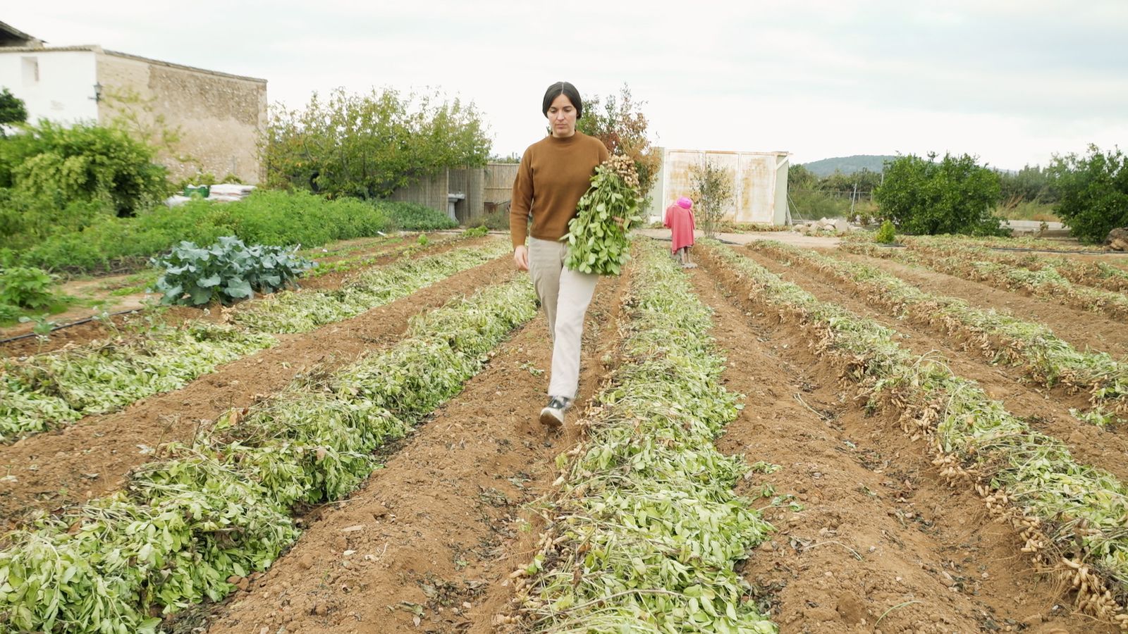 Descobrirem en À Punt noves formes de treballar en l'horta que són rentables