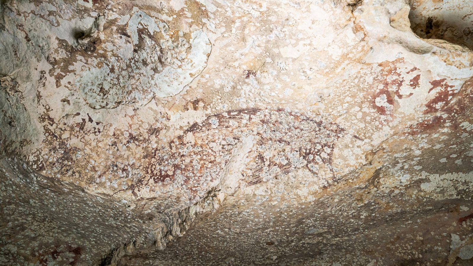 Imatge de la pintura d'almenys 51.200 anys en la cova de Lean Karampuang, l'illa de Sulawesi (Indonèsia)