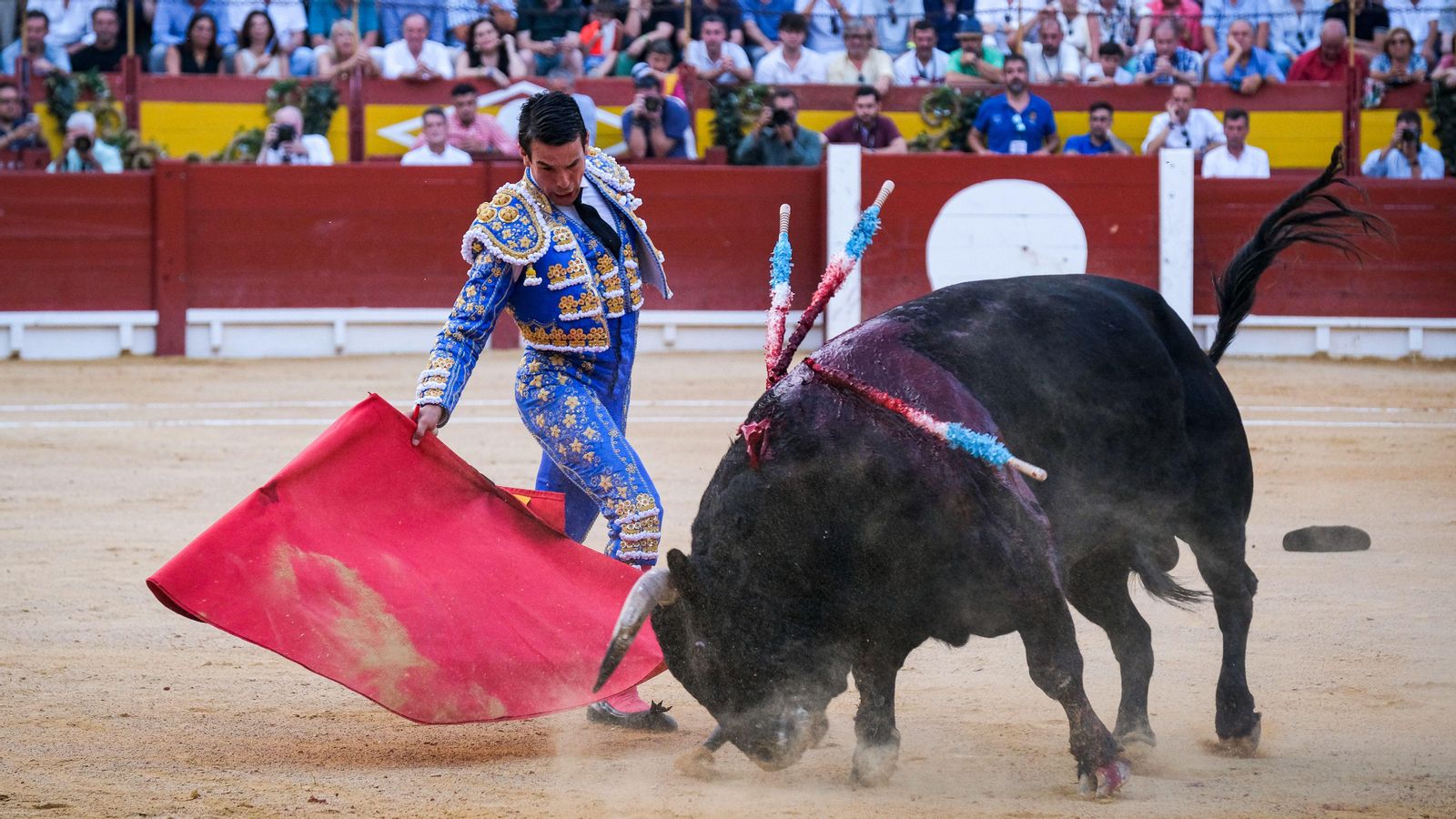 Manzanares va ser el gran triomfador de la correguda de Fogueres celebrada dilluns en la plaça de bous d'Alacant / Pablo Miranzo (EFE)