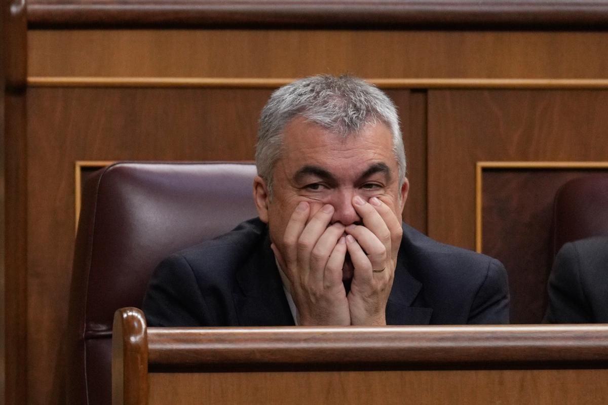 L'exsecretari d'Organització del PSOE en una imatge al Congrés