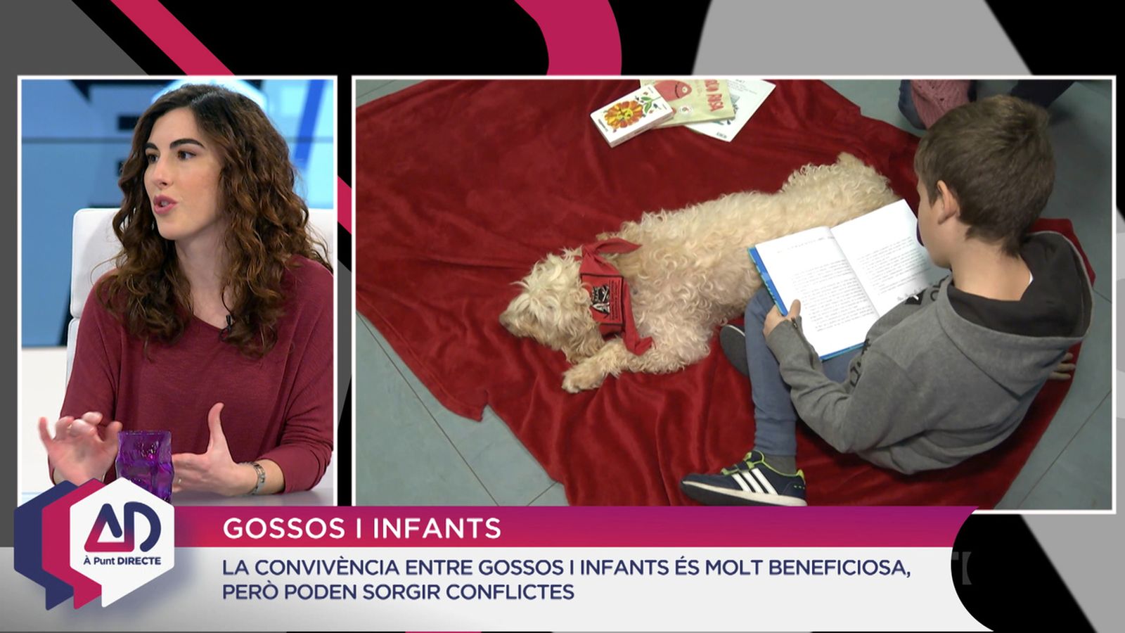Gossos i infants