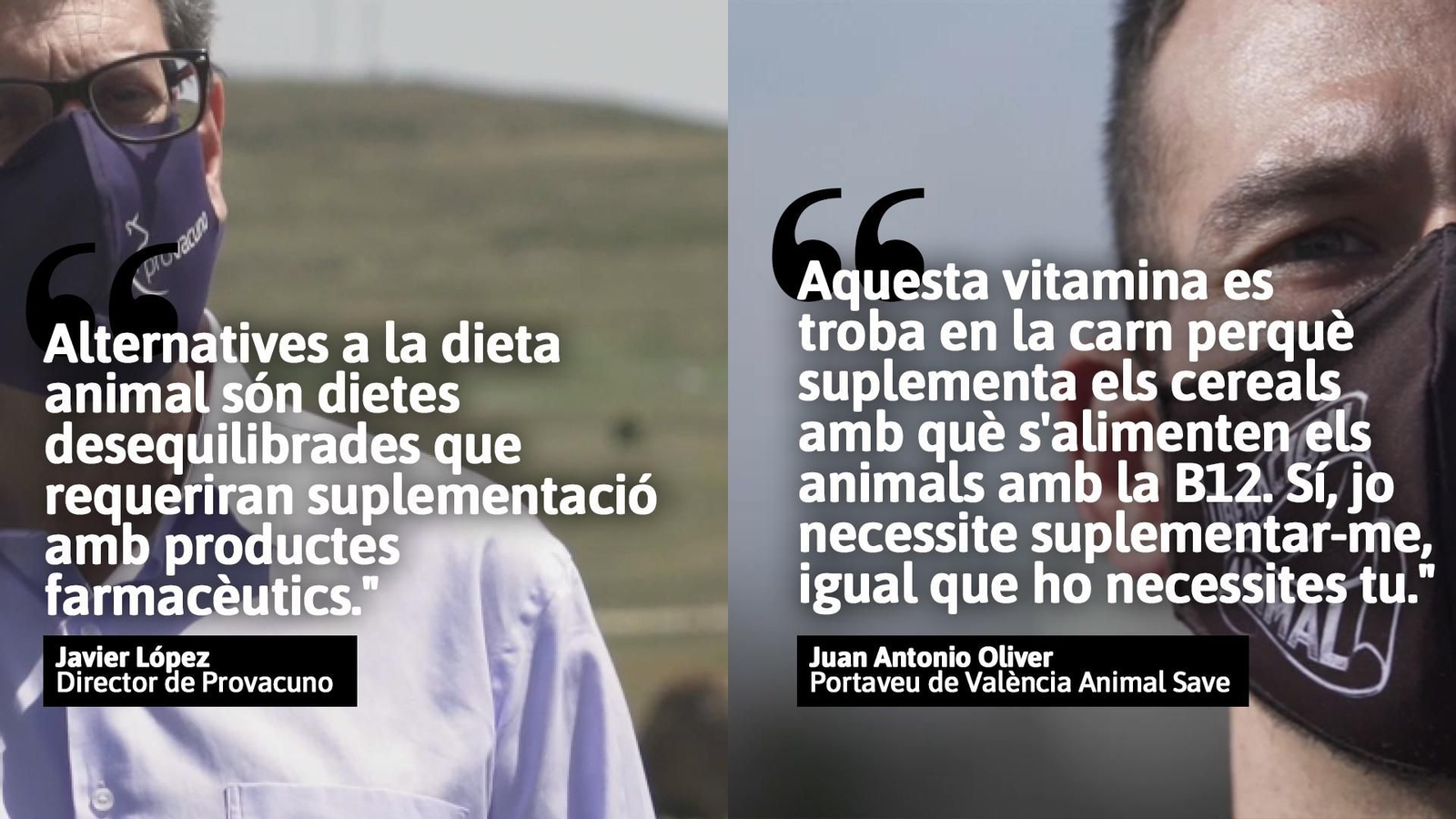 On trobem les proteïnes en una dieta vegana?