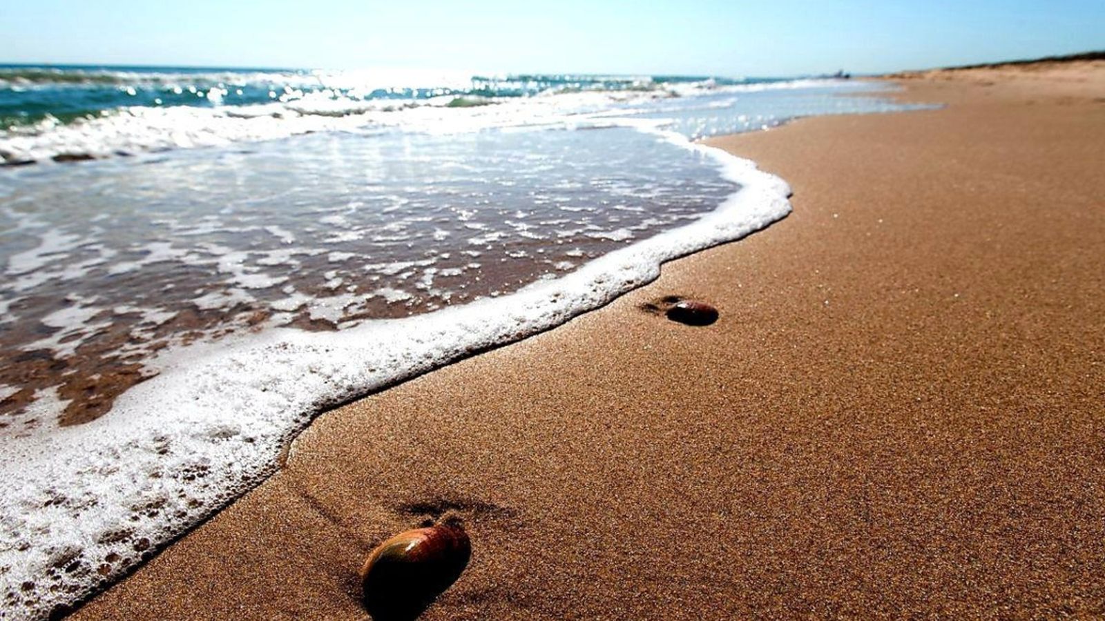 Sanitat recomana la netetja diària de l'arena