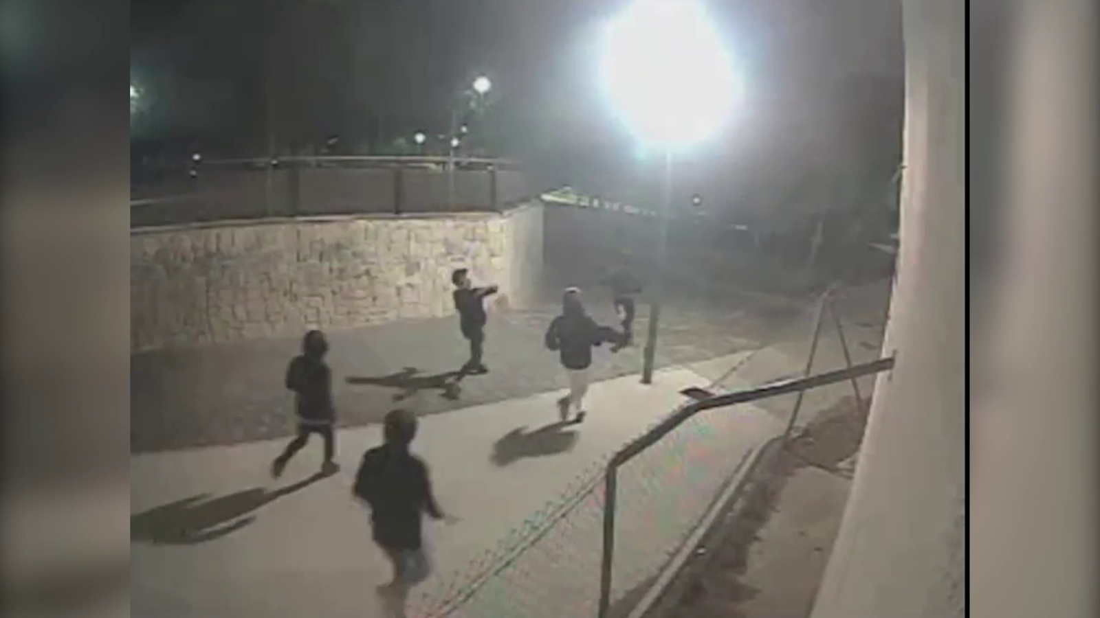 Alguns dels agressors que van apallissar l'home de 43 anys a Alacant