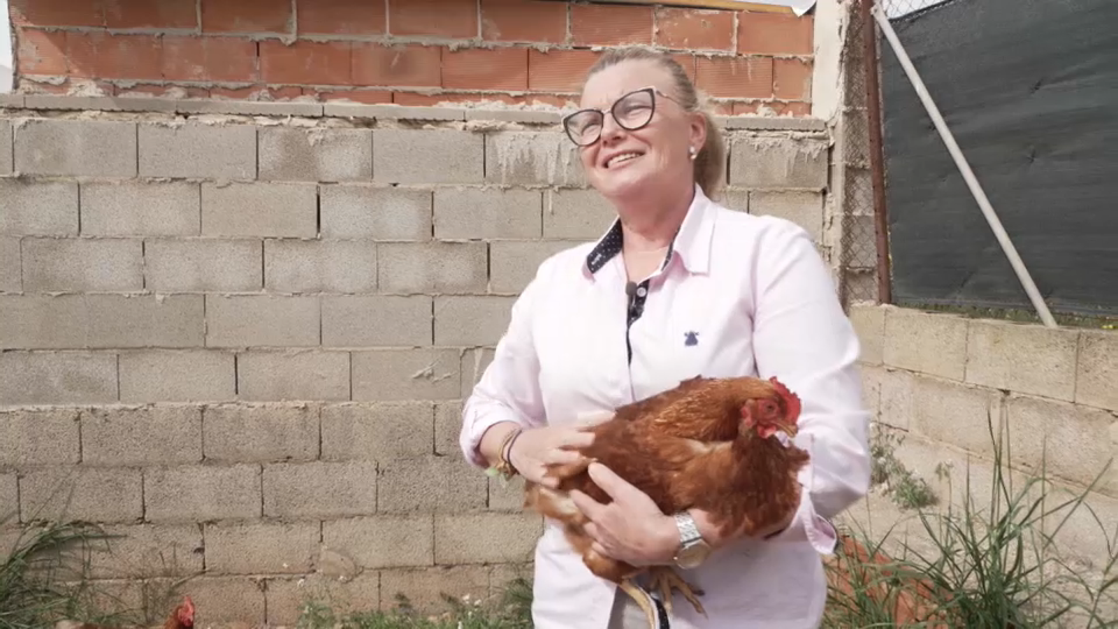 gallines 2