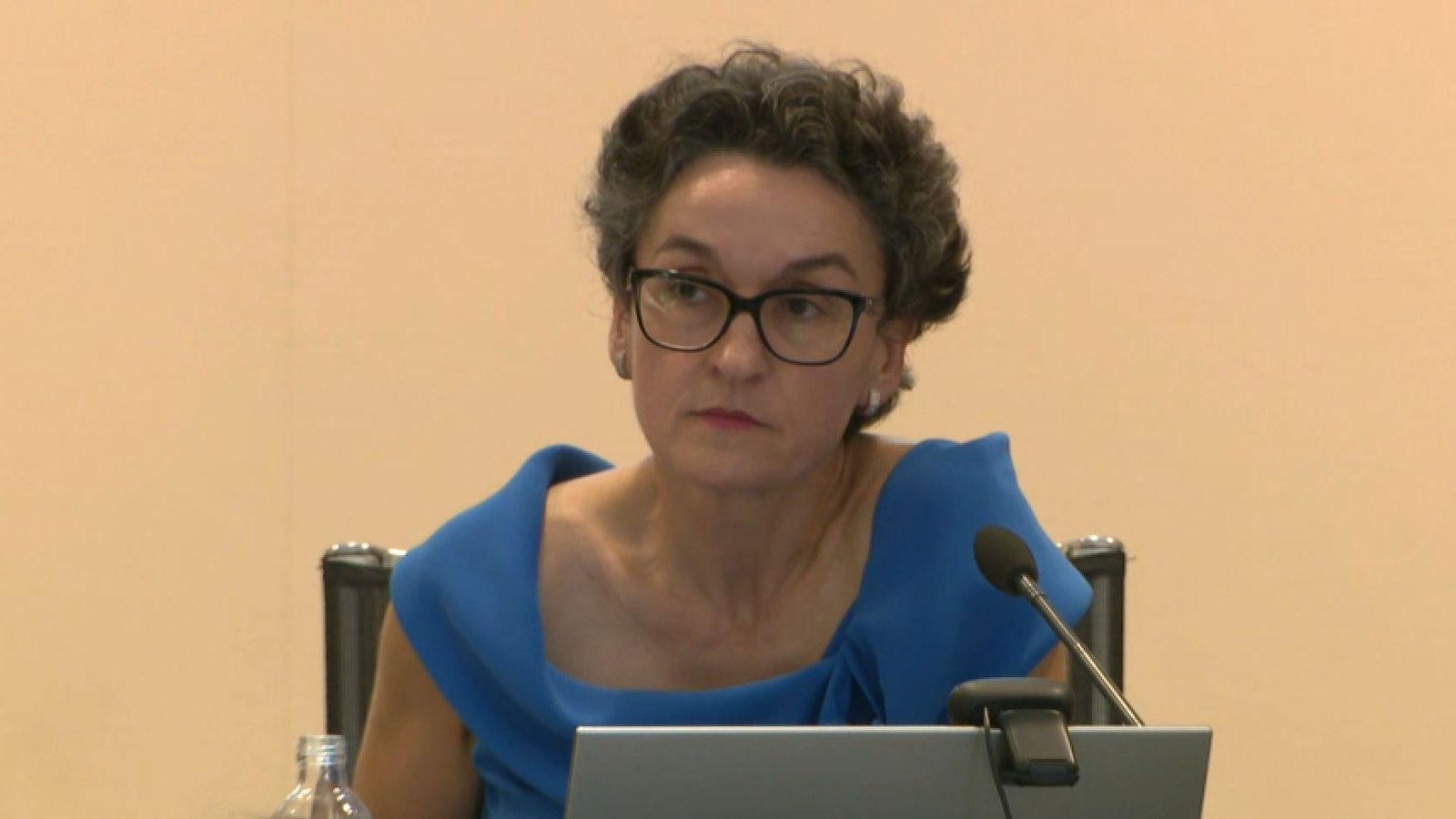 La nova presidenta de l'APV, Mar Chao, aquest divendres