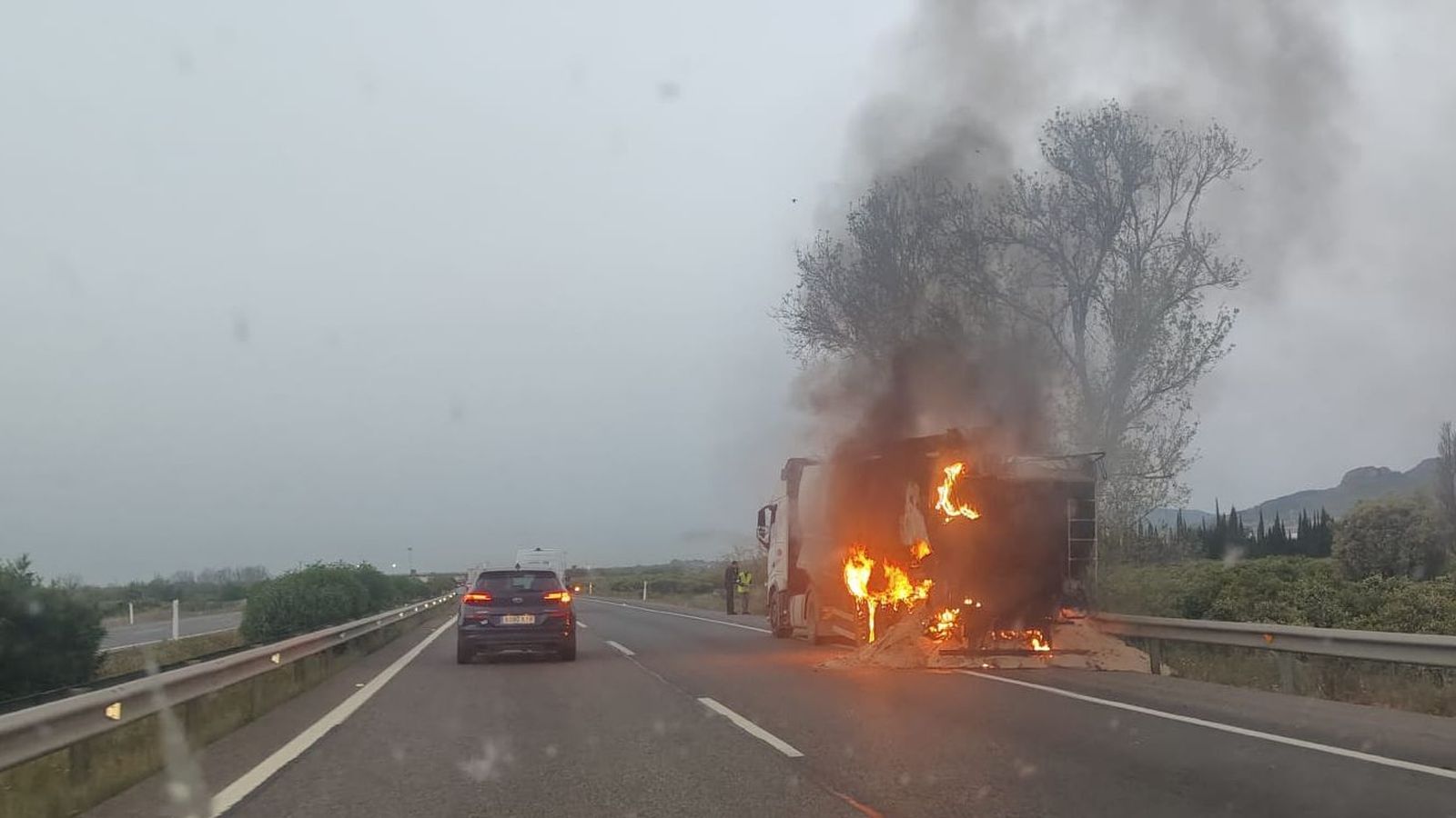 WhatsApp Image 2026-04-10 at 08.40.50