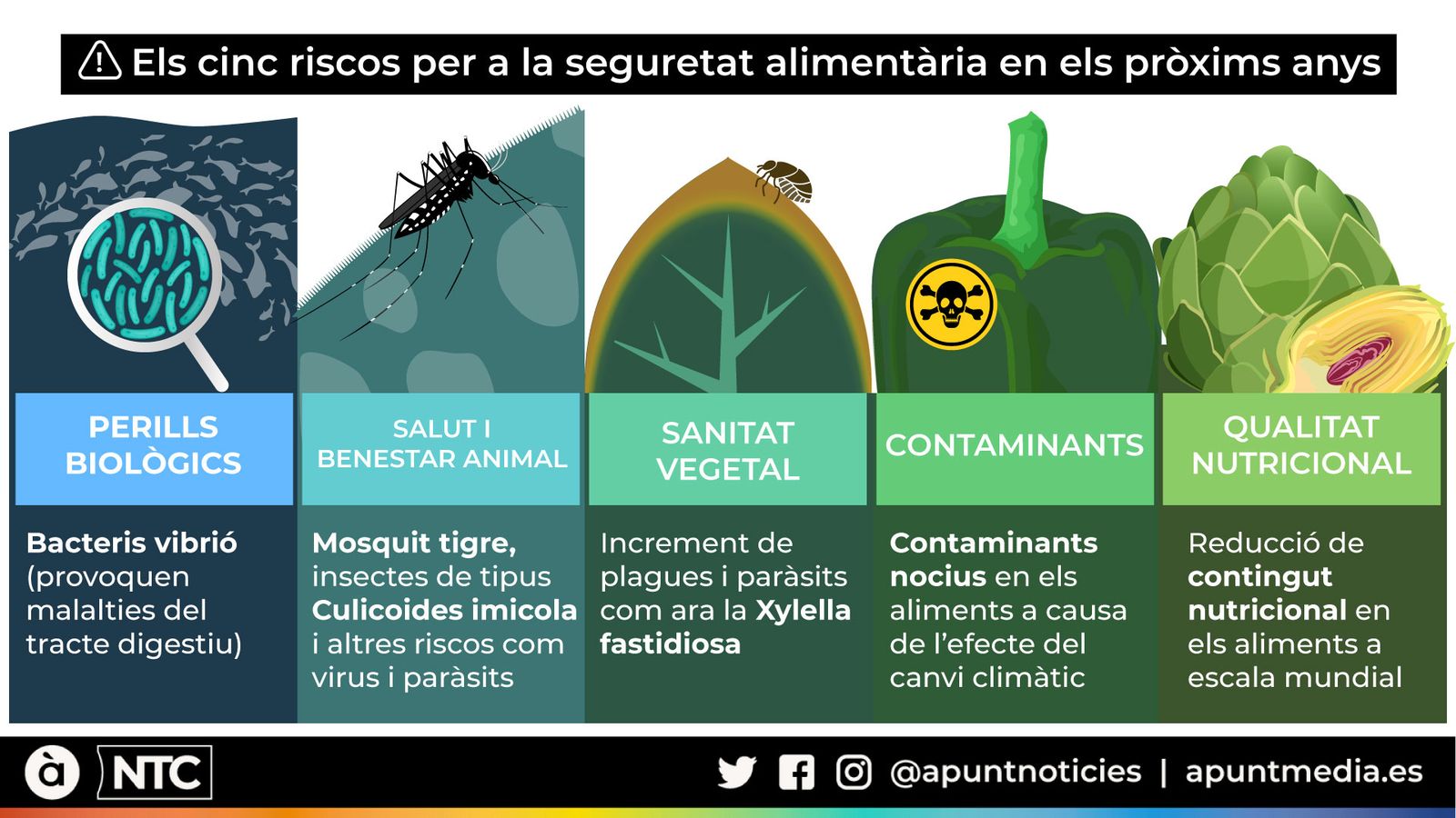 Els cinc riscos per a la seguretat alimentària en els pròxims anys