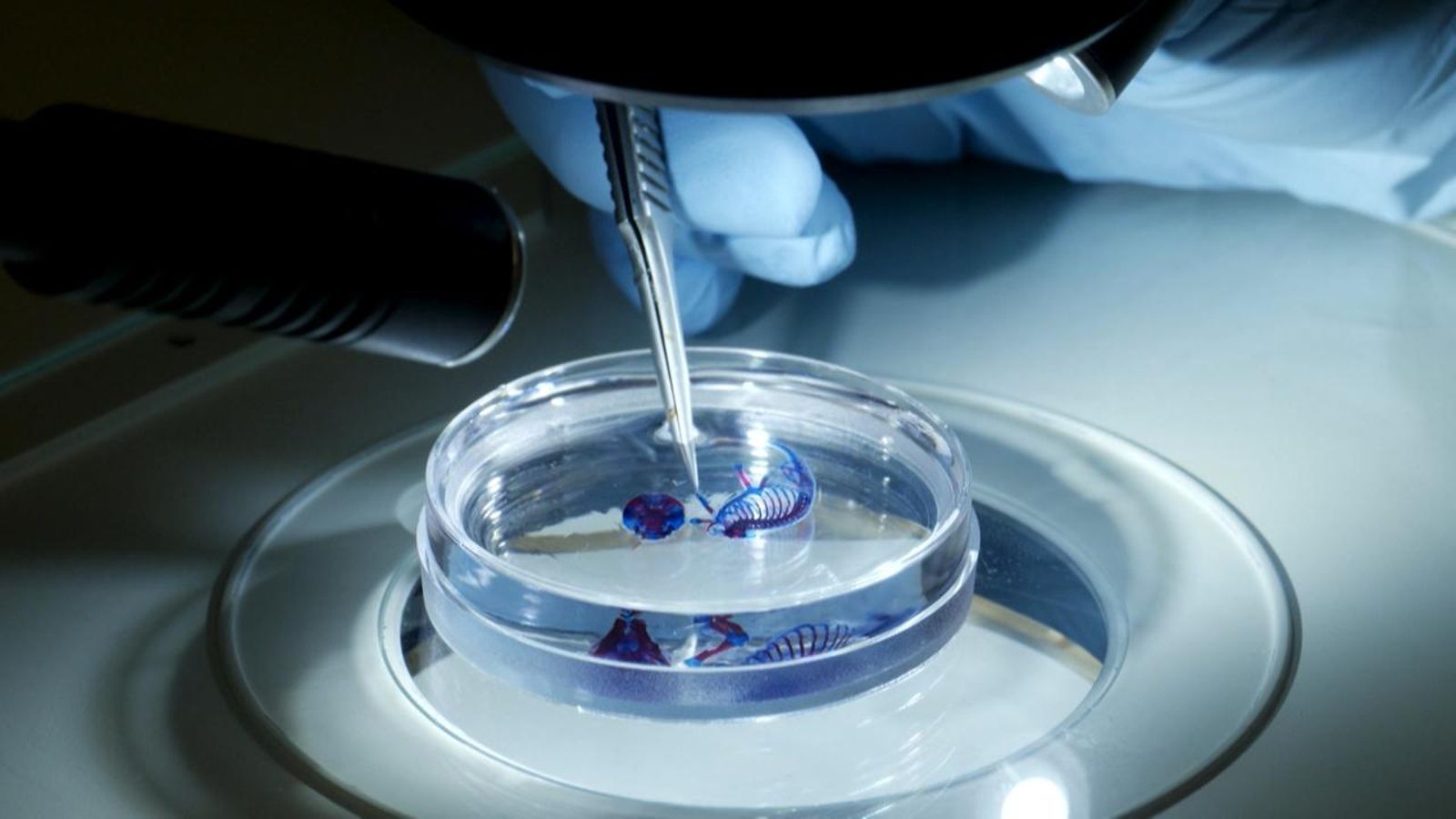 L'institut de les preposicions de lloc