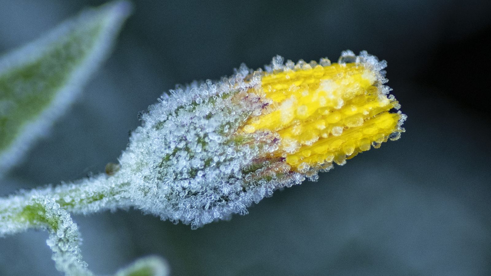 Bocairent, la Vall d'Albaida