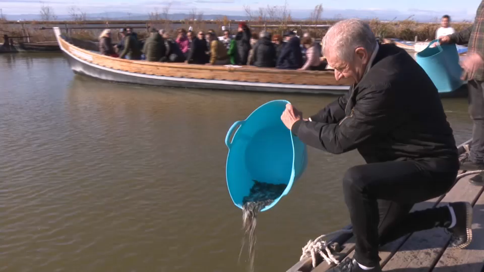 Solta d'angules a l'Albufera