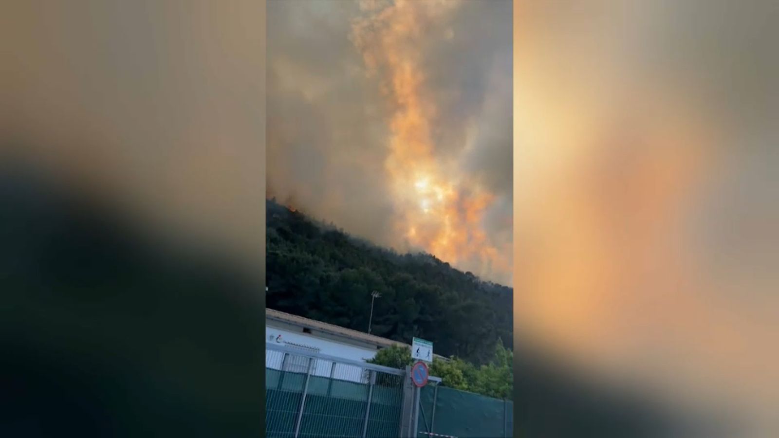 Incendi del passat mes d'abril, quan les flames ja es van quedar a les portes del paratge de la Murta d'Alzira, a causa d'un incendi forestal