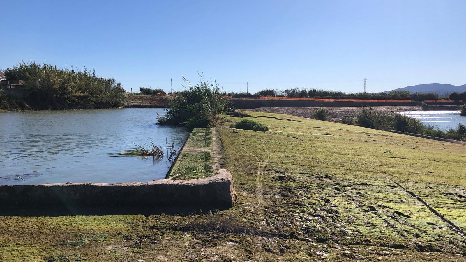 L'assut de Cullera, en una imatge de la plataforma L'assud de Cullera, en una imatge de la plataforma