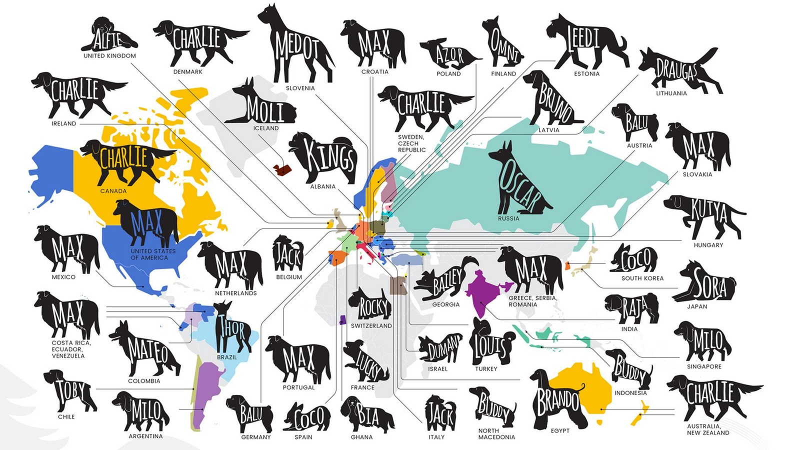 Noms de gos més comuns al món