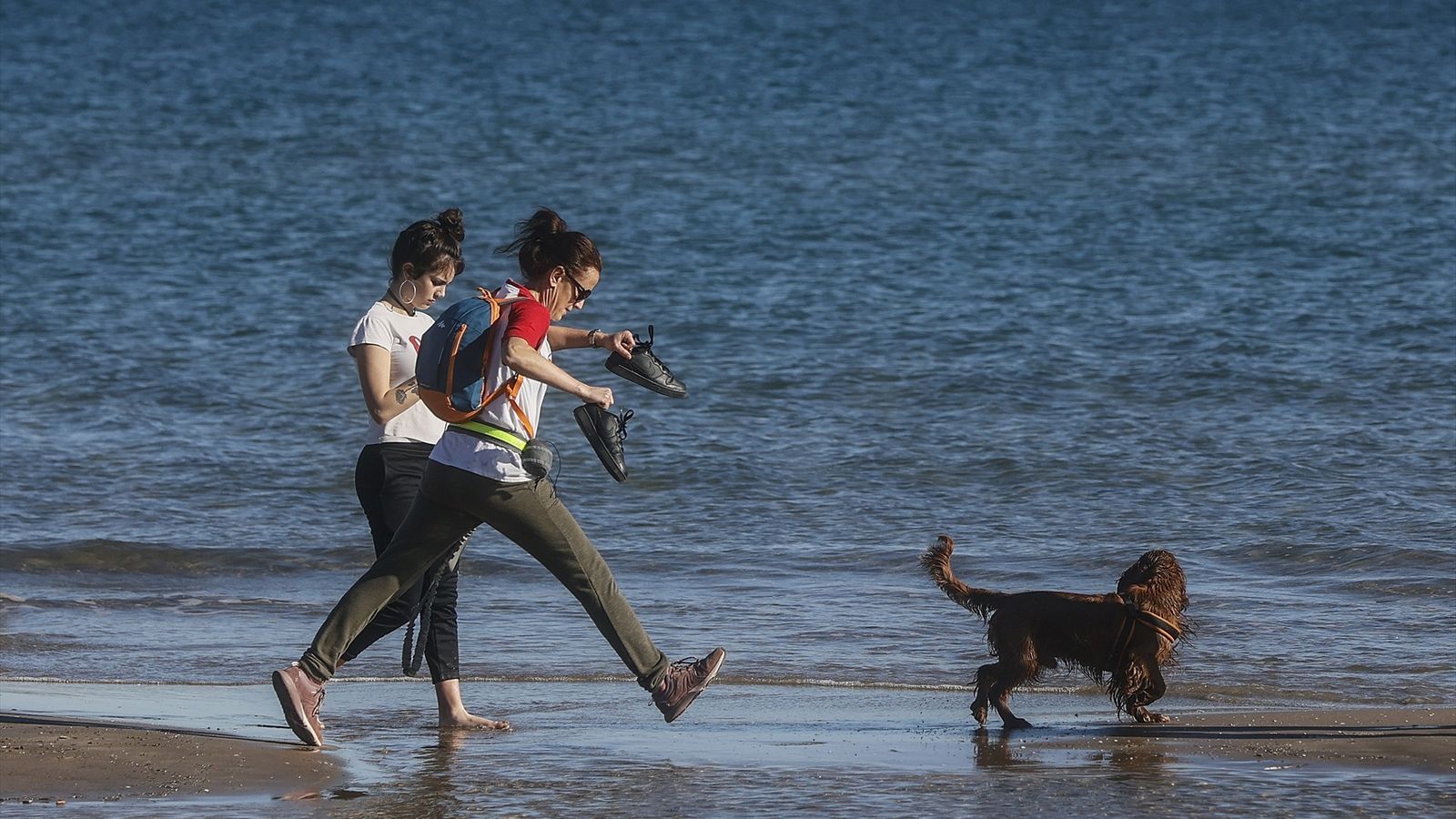 Imatge d'arxiu de dos dones passejant amb un gos a la platja