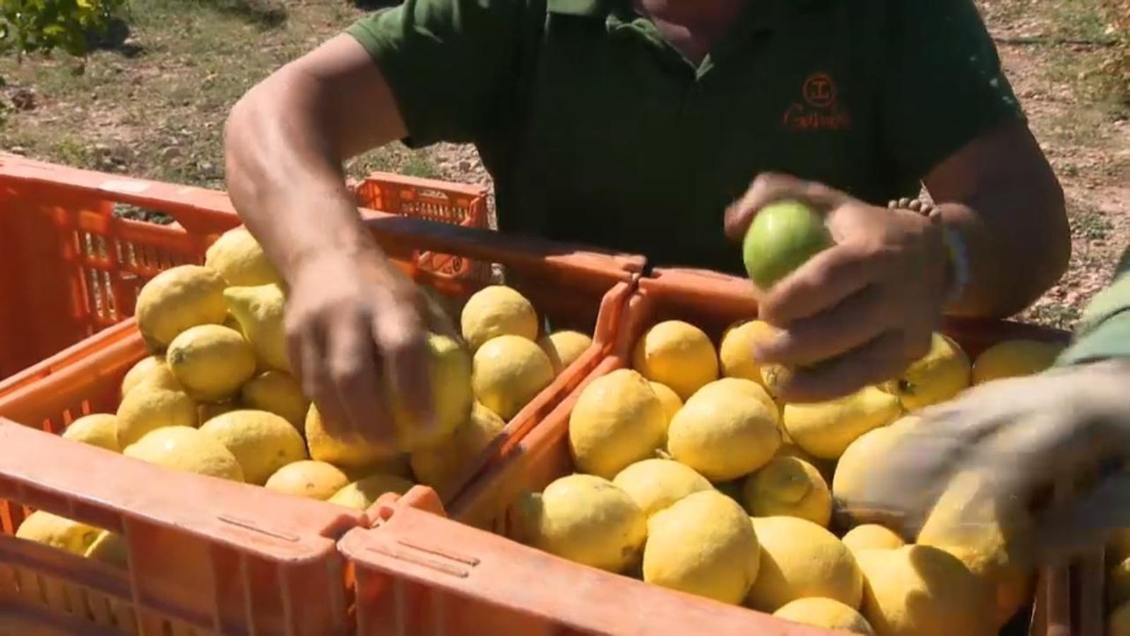 La Comunitat Valenciana, la segona més afectada si s'imposen aranzels a les exportacions al Regne Unit
