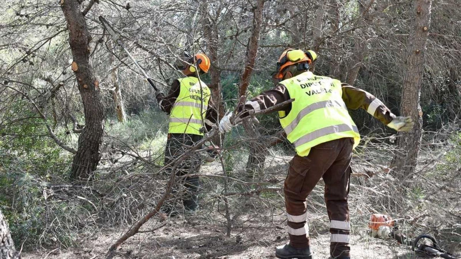 Foto: Imatge d'arxiu de la brigada forestal de Divalterra
