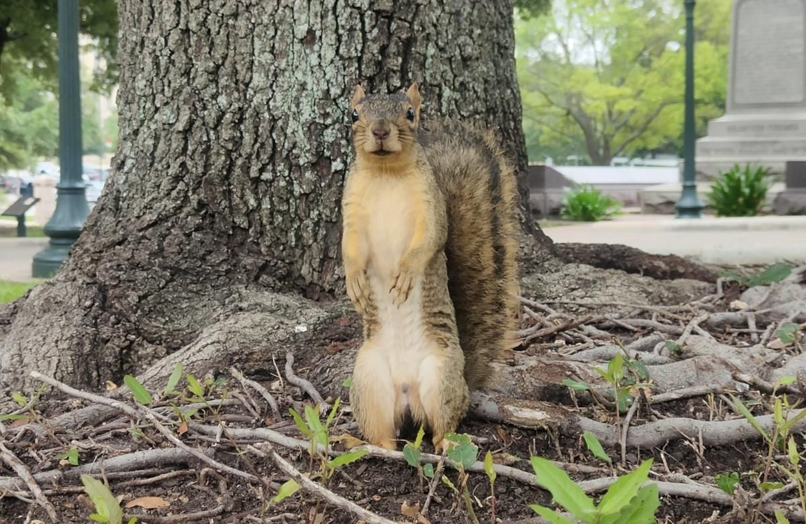 El Ziller Park és un paradís natural al centre de la ciutat