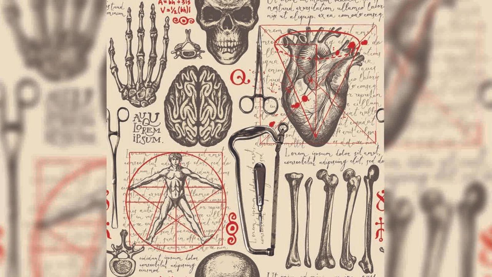 Un cas com el de Merrick: el verb 'esbrinar' i les seues particularitats