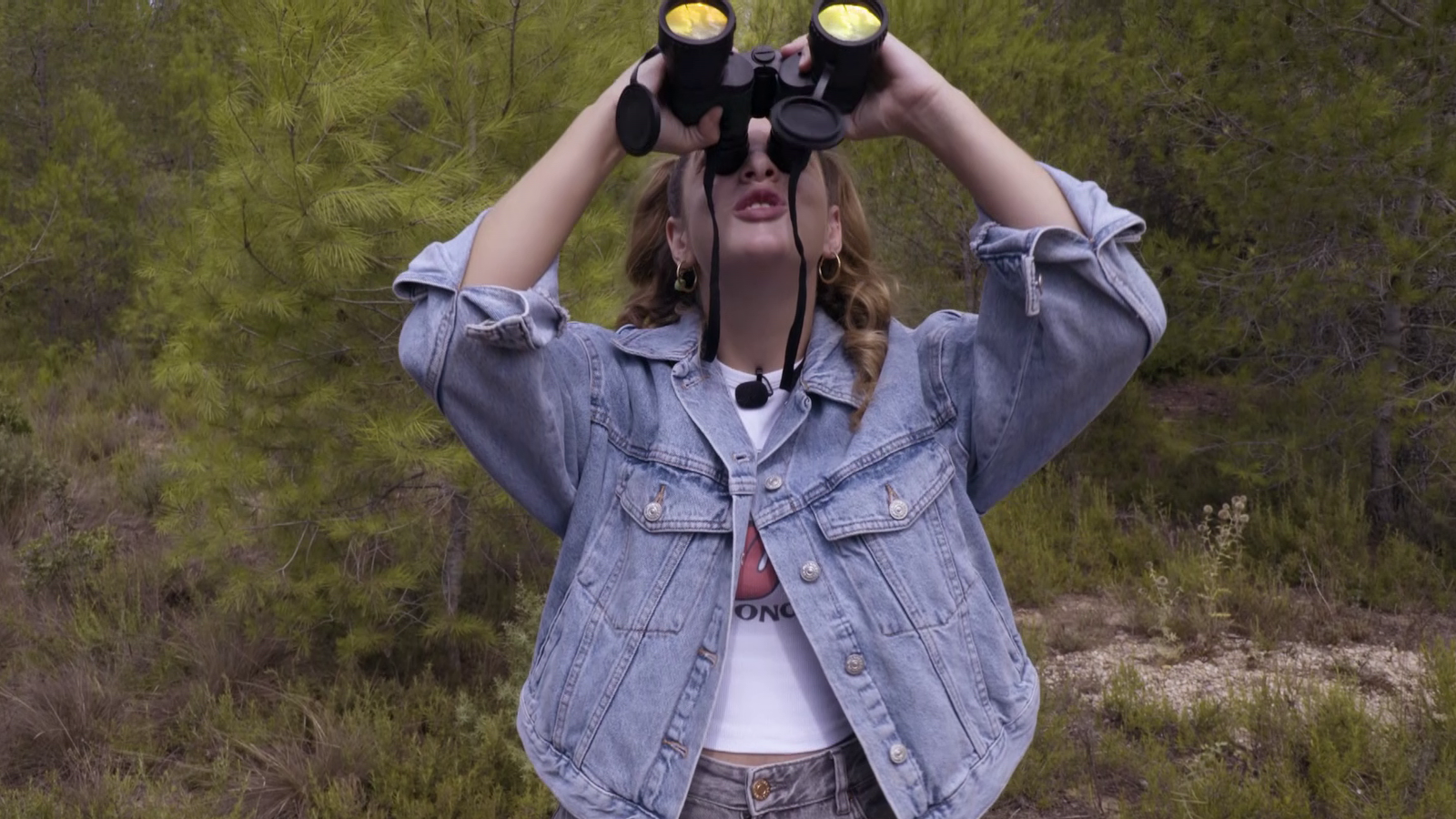 La Colla Animal | Animals espacials