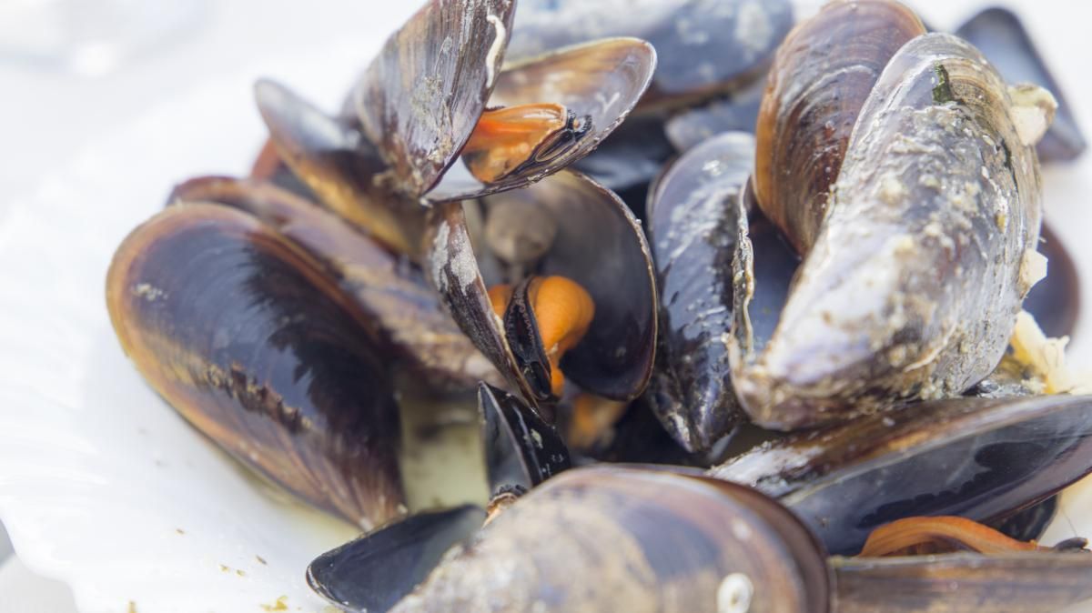 Un plat de clòtxines Un plat de clòtxines